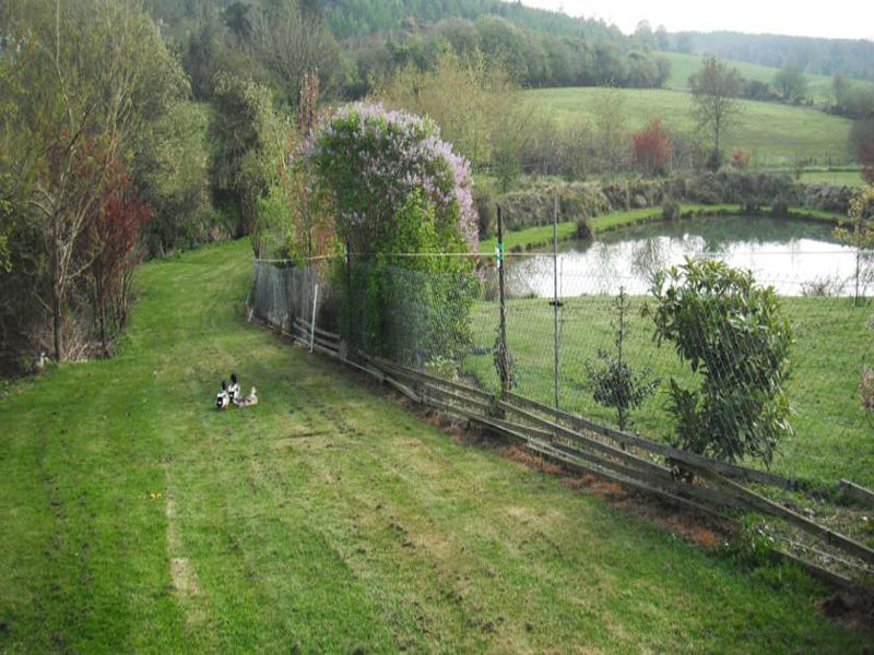 Dawn House B&B Kilmeaden Zewnętrze zdjęcie